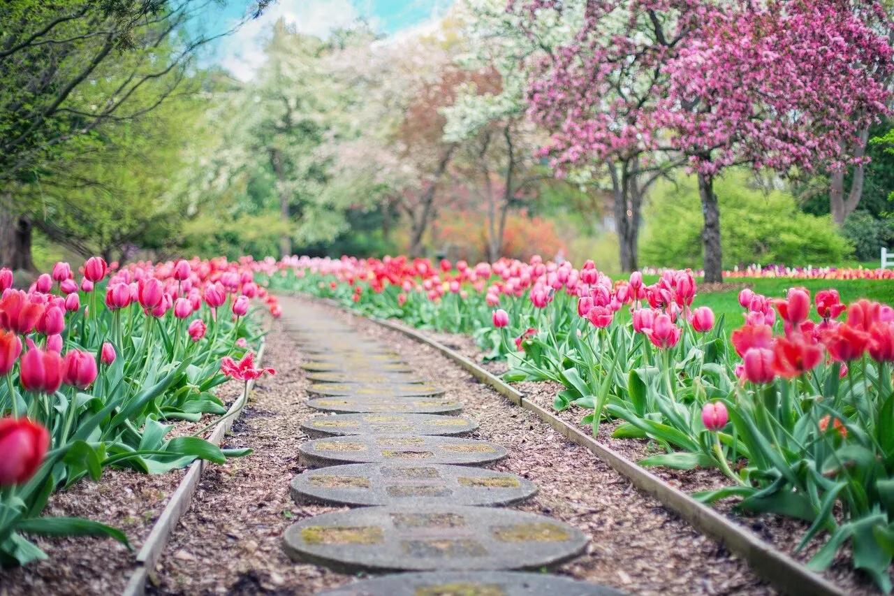 Frühling ist (nicht nur) für romantische Seelen. Was wir alle an der schönsten Jahreszeit lieben und warum